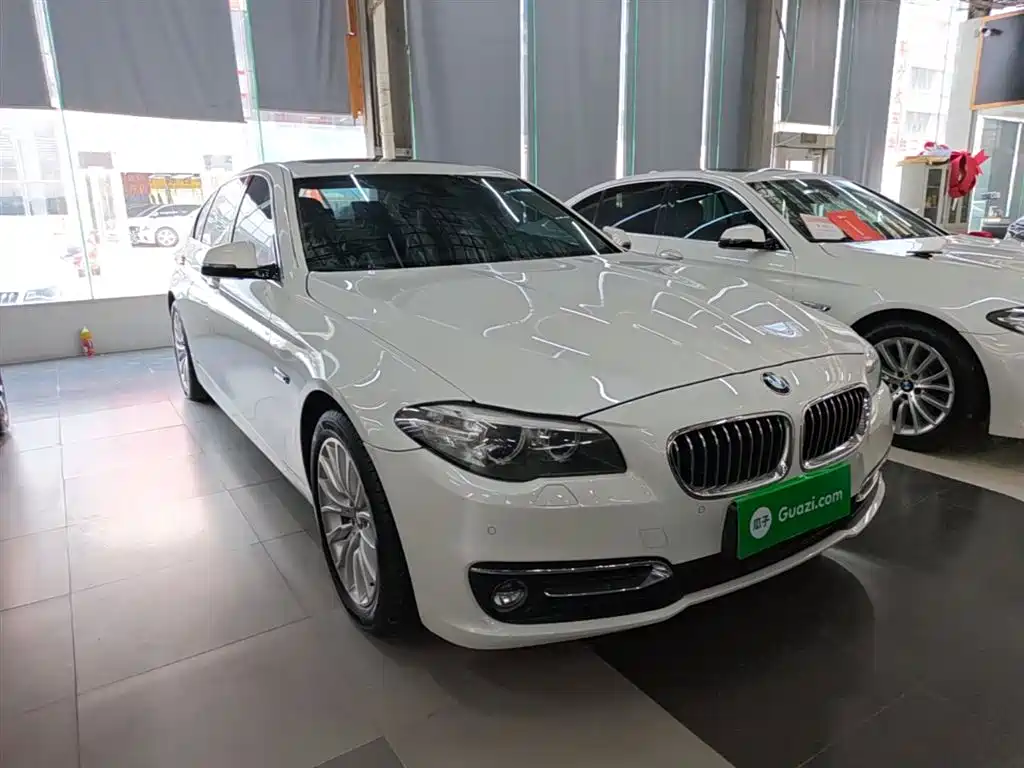 BMW 5 Series 2014 525Li Luxury Design Package фото 4