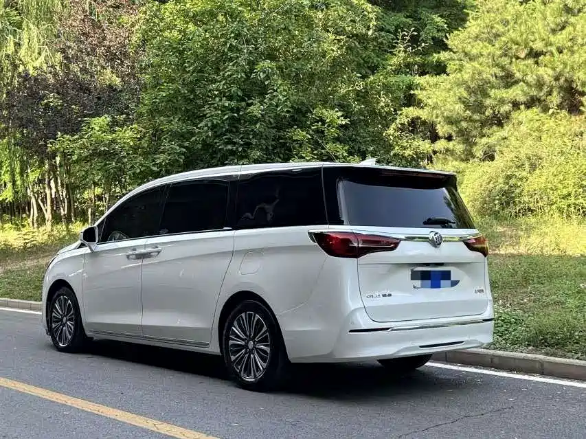 Buick GL8 2023 ES Landmaster Luxury фото 8