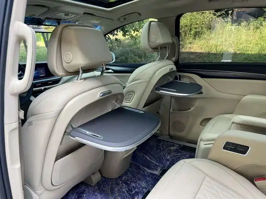 Buick GL8 2023 ES Landmaster Luxury фото 7