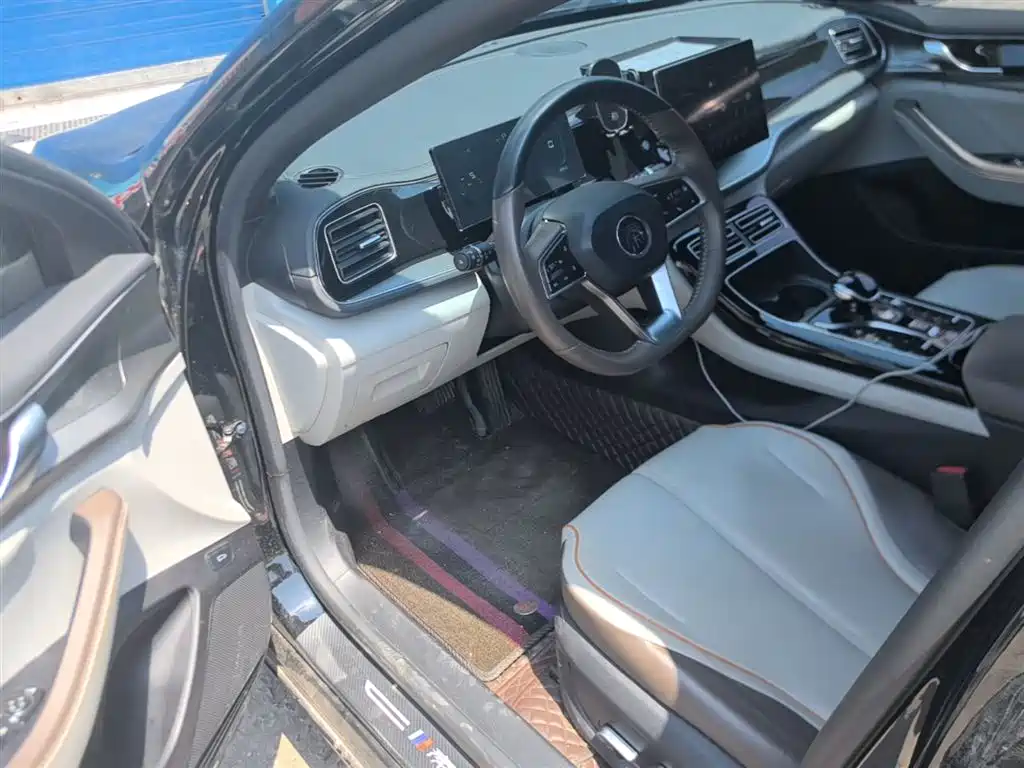 BYD Qin PLUS 2023 Champion Edition DM-i 55KM Surpassing фото 16