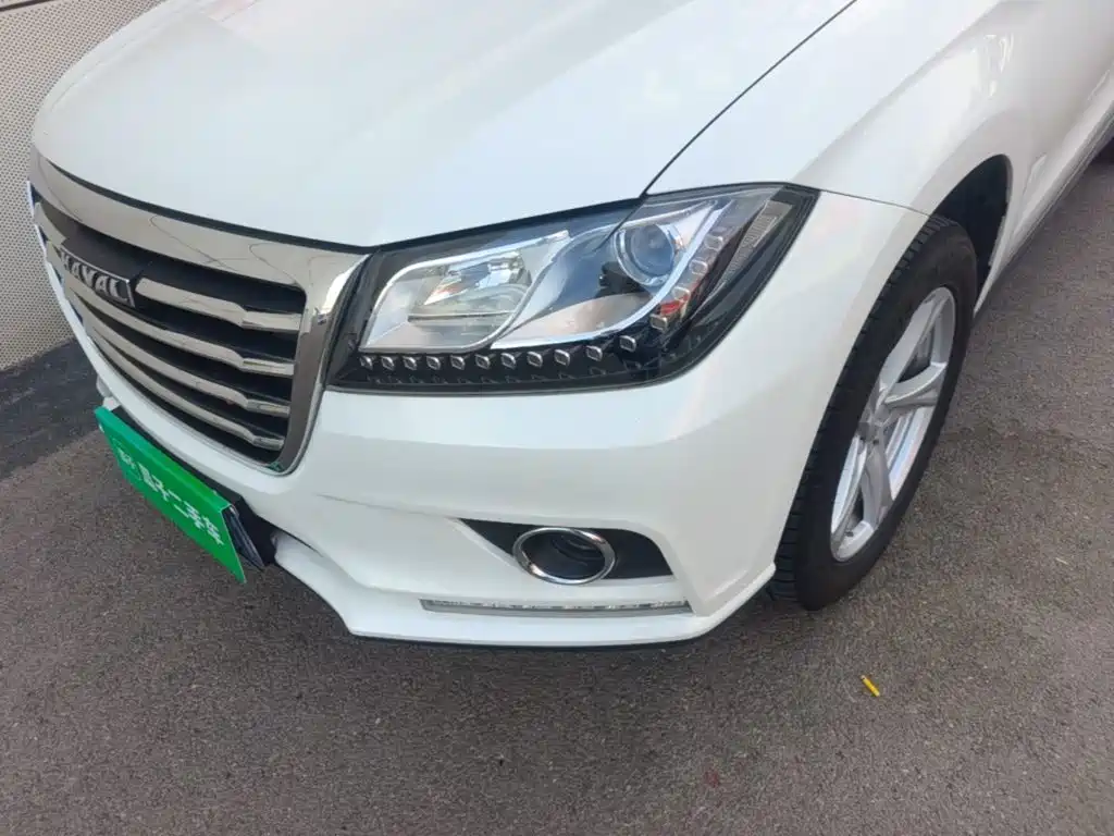 صورة 24 - Haval H2