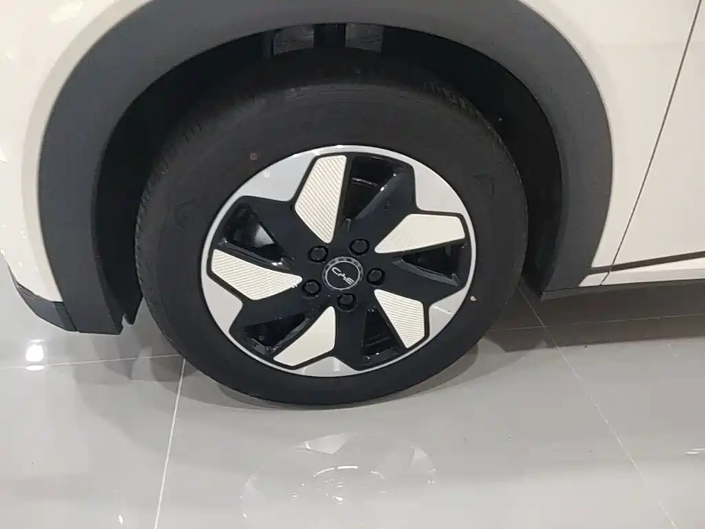 BYD Dolphin 2026 2025 420km Freedom Edition