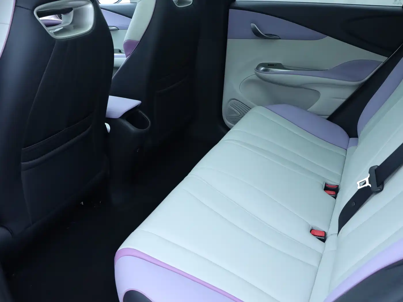 BYD Dolphin 2021 Model 405km Fashion Edition фото 14