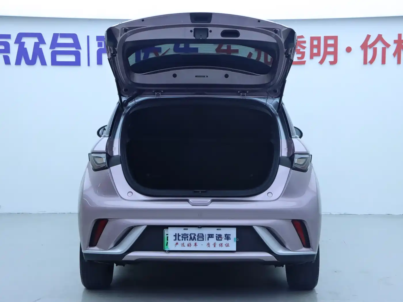 BYD Dolphin 2021 Model 405km Fashion Edition фото 20