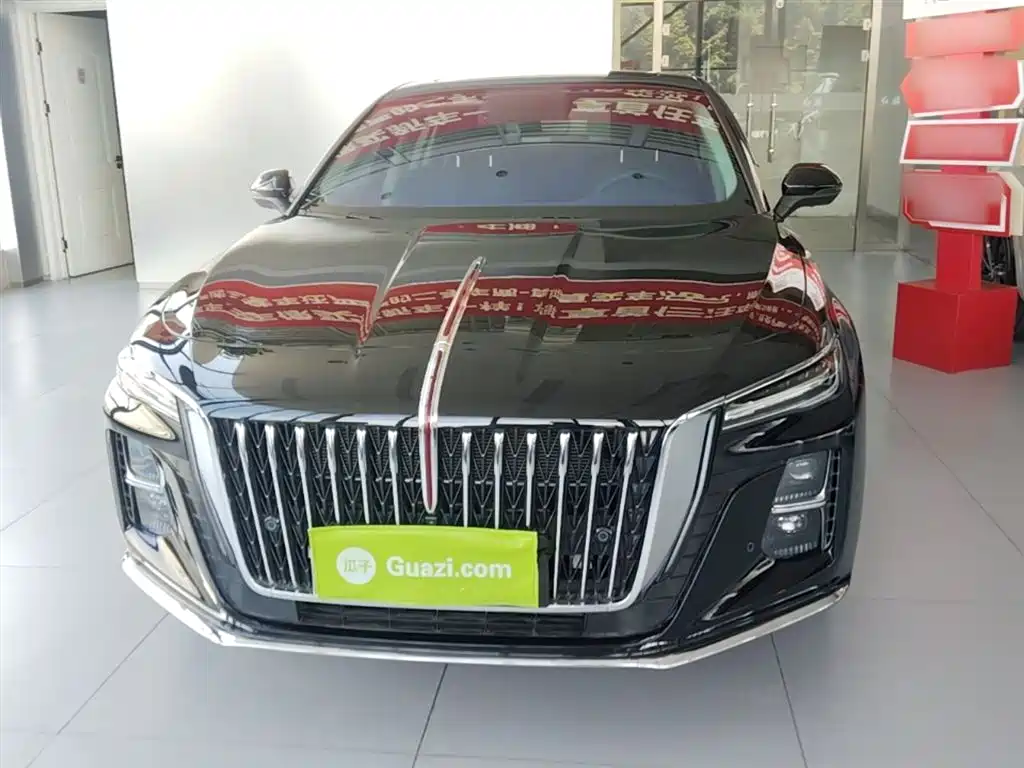 Hongqi H5 2025 1.5T DCT Flag Rhythm 500,000 Units Memorial Edition фото 3