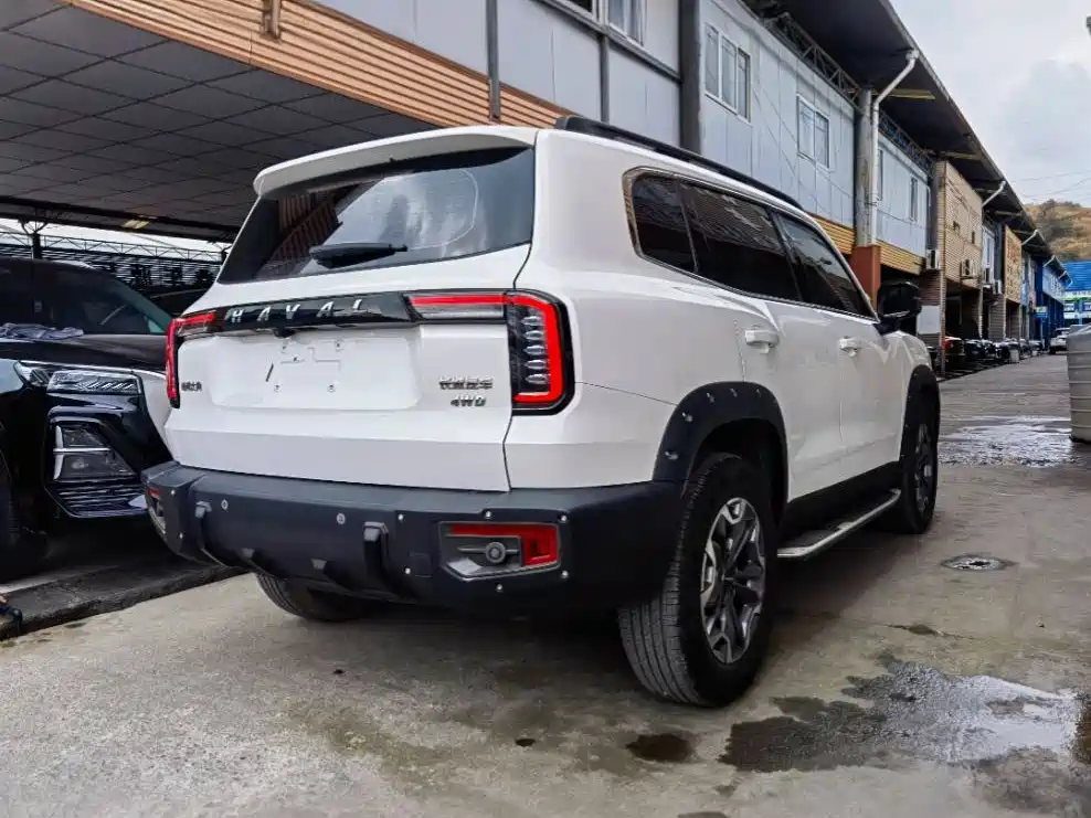 Haval Big Dog 2022 2.0T DCT 4WD Chinese Rural Dog Hunting Edition фото 3