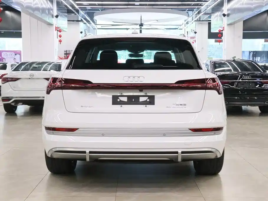 Audi e-tron 2021 50 quattro Luxury фото 4