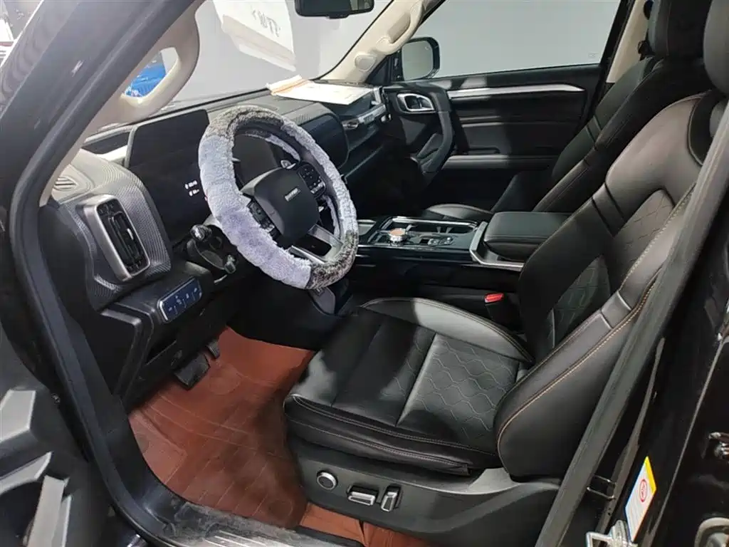 Haval Big Dog 2021 1.5T DCT 2WD Border Collie Edition фото 15
