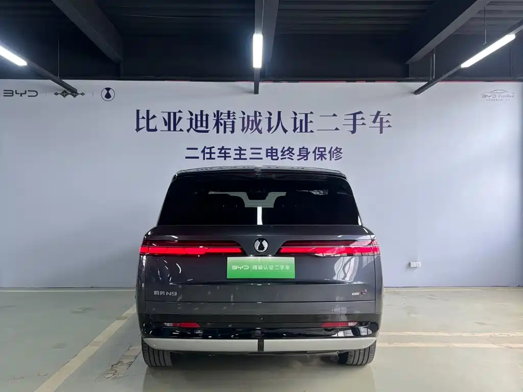 Denza N9 2025 2025 Model Prestige Edition