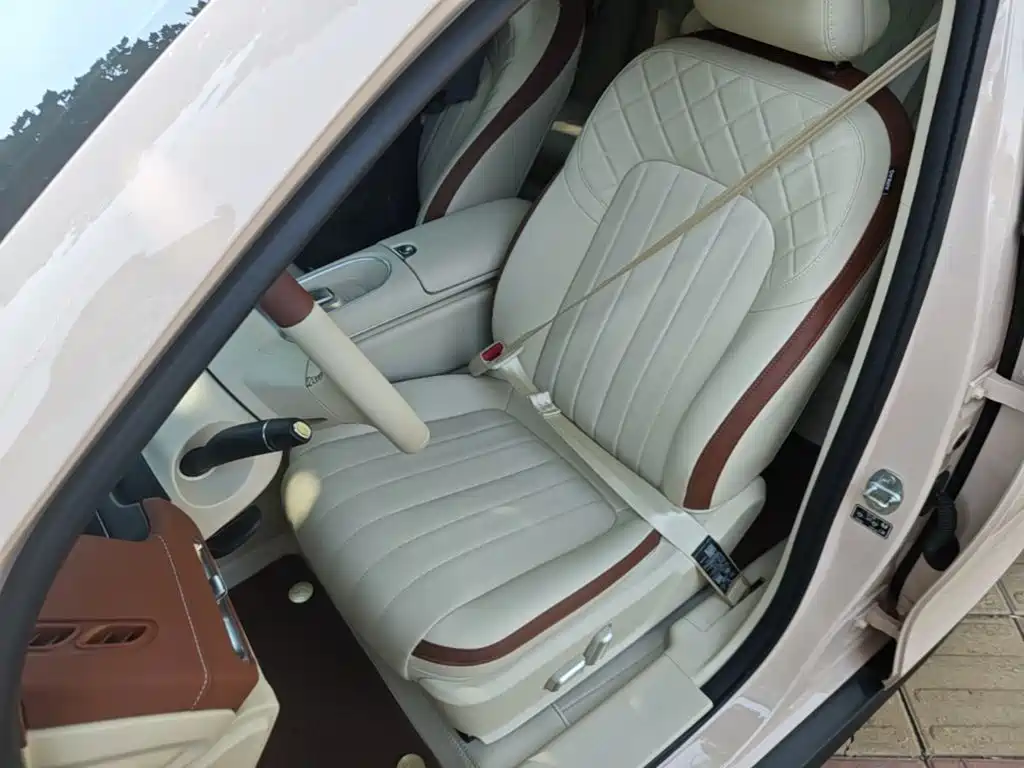 Ora Good Cat 2025 2024 501km Luxury
