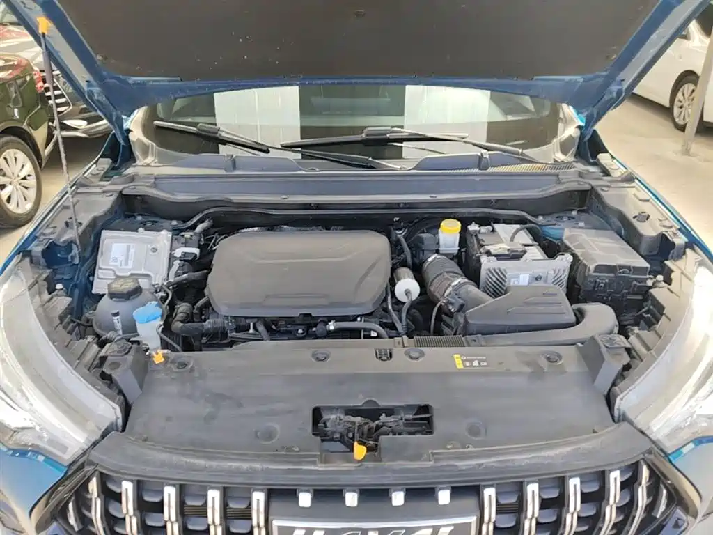 Haval Chitu 2021 Turbo Edition 1.5T Golden Rabbit фото 20