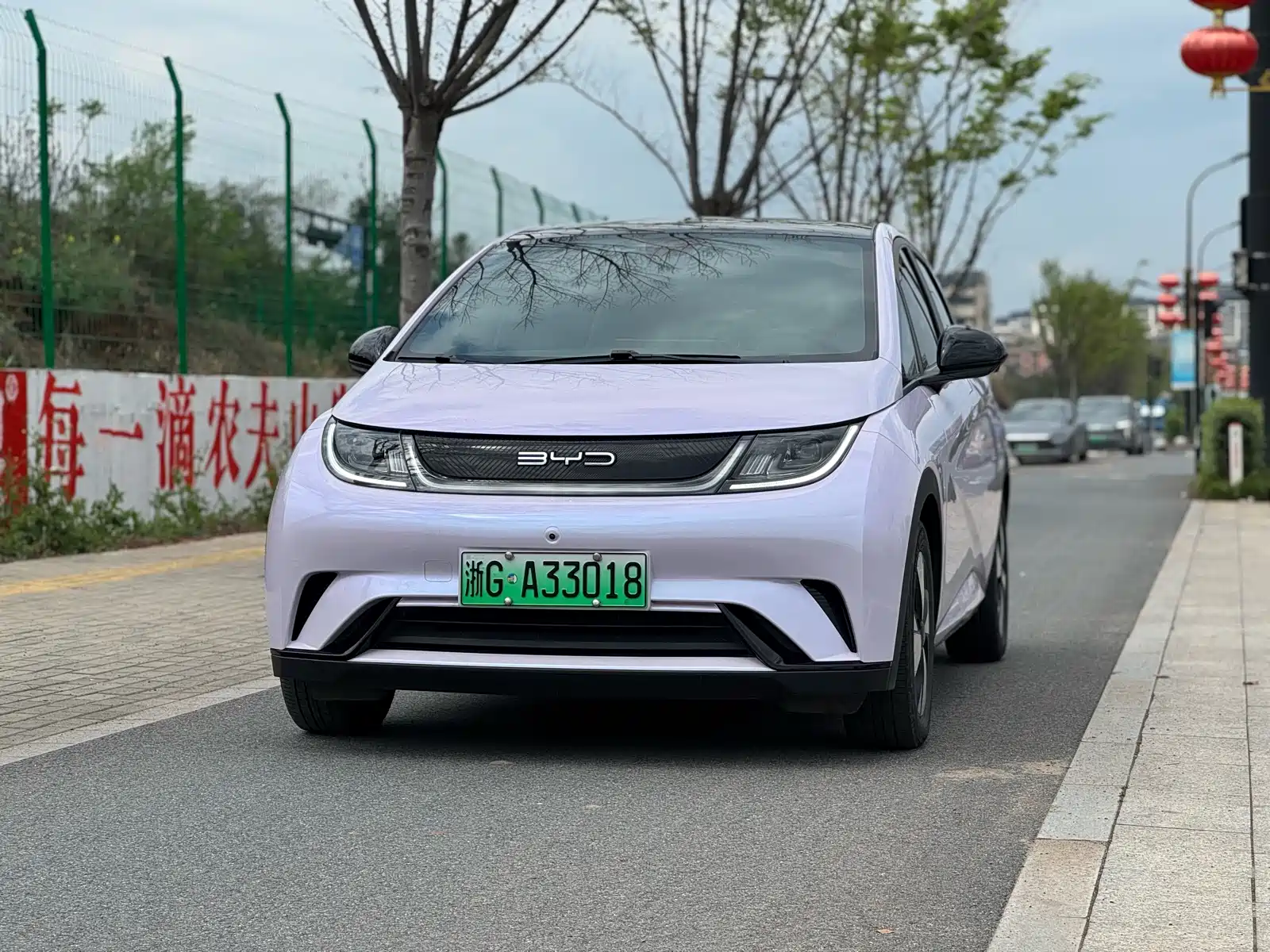 Фото 1 - BYD Dolphin