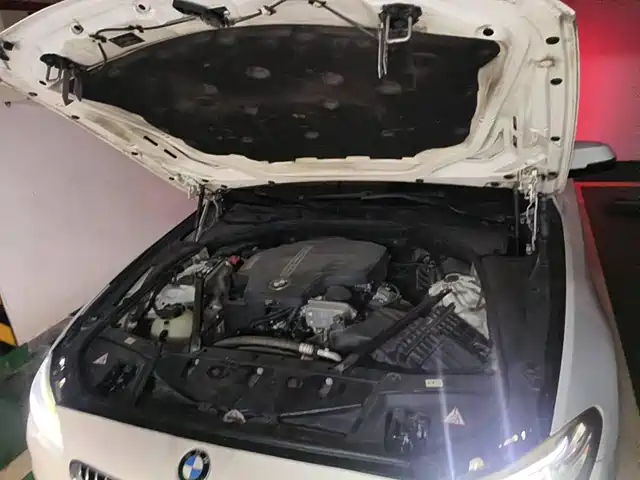 BMW 5 Series 2014 525Li Leading — фото 3