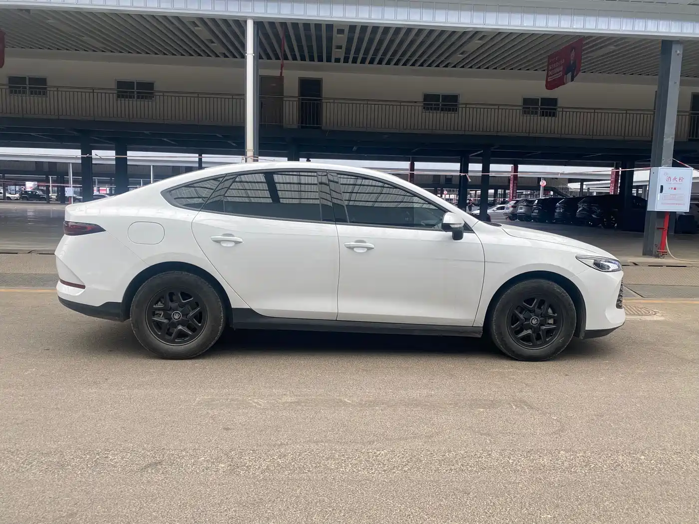 BYD Qin PLUS 2025 DM-i Smart Drive 55KM Leader фото 4