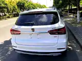 Фото 6 - Roewe RX5