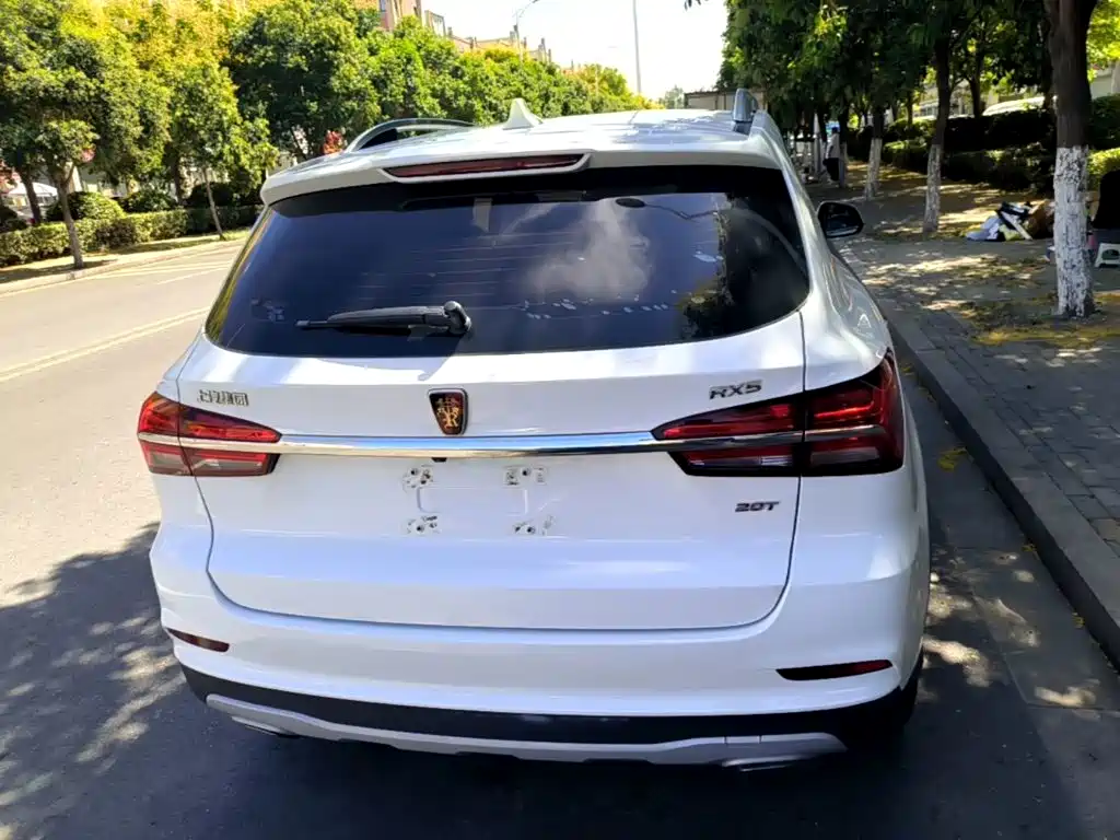Фото 6 - Roewe RX5