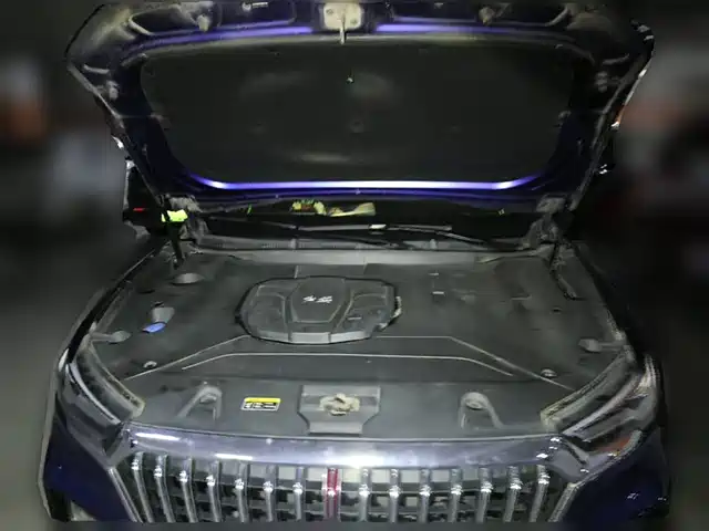 Hongqi HS5 2019 2.0T Smart Connect Enjoy 4WD Edition — фото 3