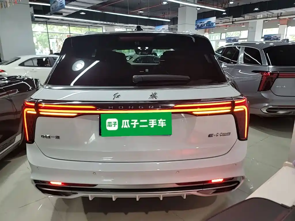 Hongqi E-HS9 2022 660km Qi Chang Edition (6-seater) фото 6