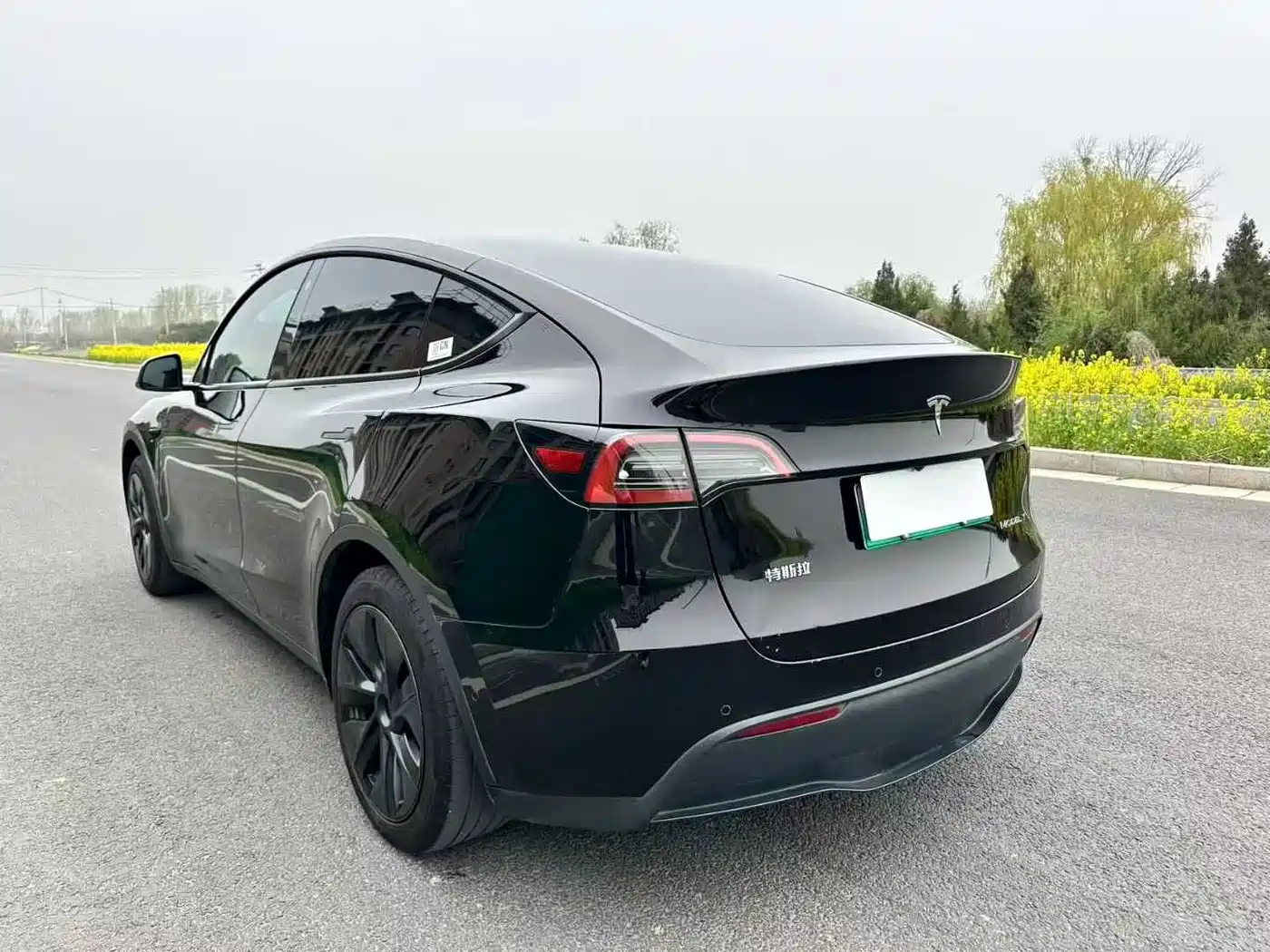 TESLA MODEL Y