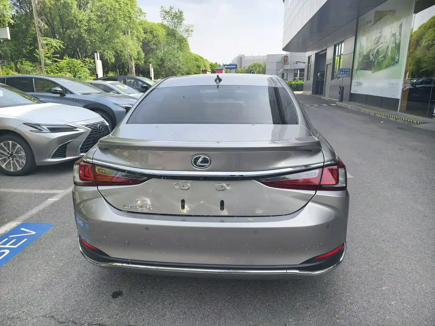 Lexus ES 2022 300h Executive Edition фото 5