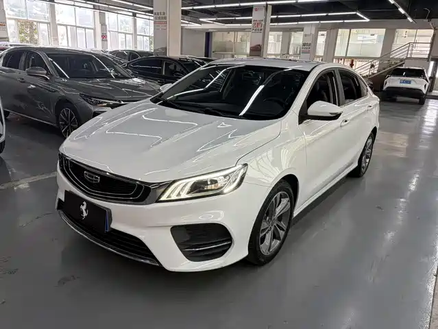 GEELY AUTOMOBILE BINRUI