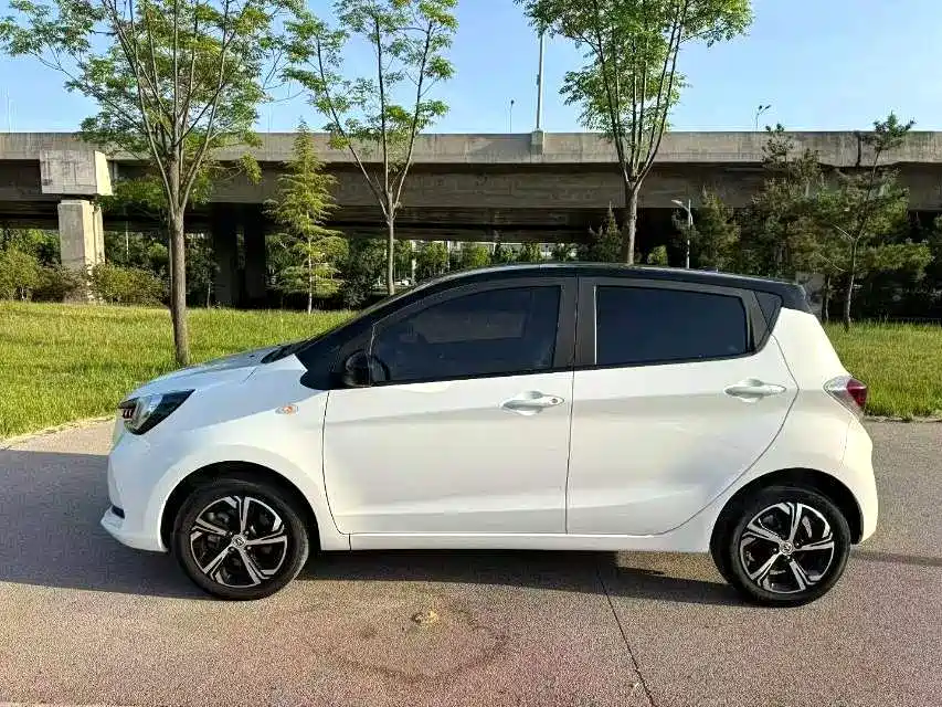 2022 Changan Benben E-Star