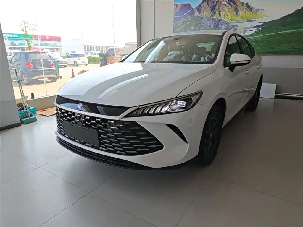 BYD Qin PLUS 2026 DM-i Smart Edition 128KM Progressive фото 2