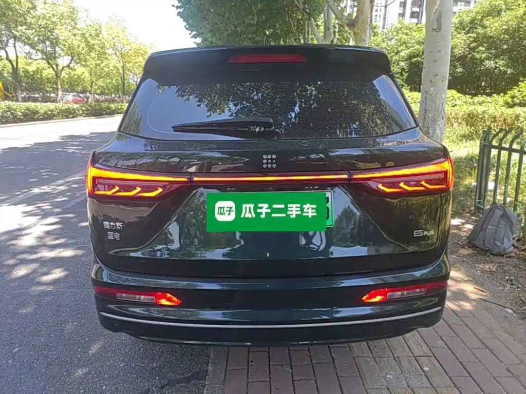 Landian E5 PLUS 2024 2025 165km Long Range Pro (5-Seater)