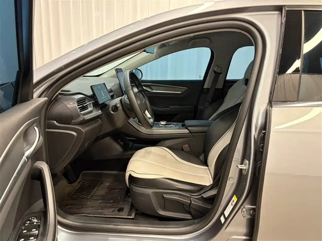 BYD Destroyer 05 2024 Glory Edition DM-i 55KM Luxury фото 12