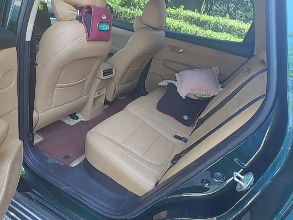 Landian E5 PLUS 2024 2025 165km Long Range Pro (5-Seater)