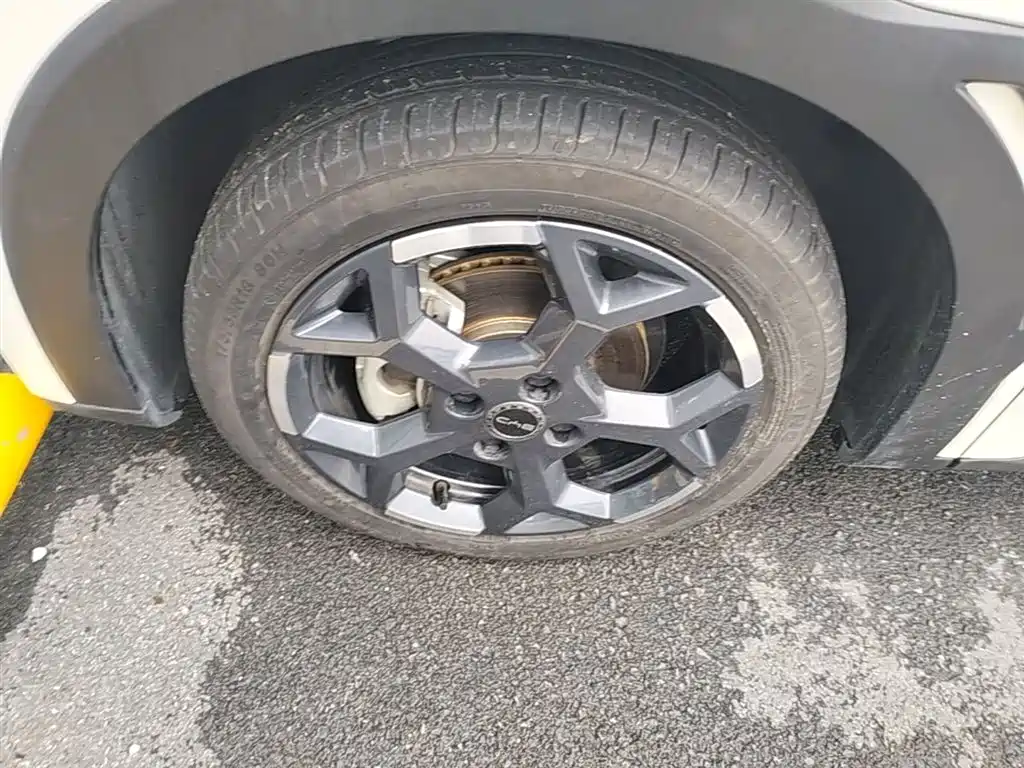 BYD Seagull 2025 Smart Drive Edition 305km Freedom Version фото 23
