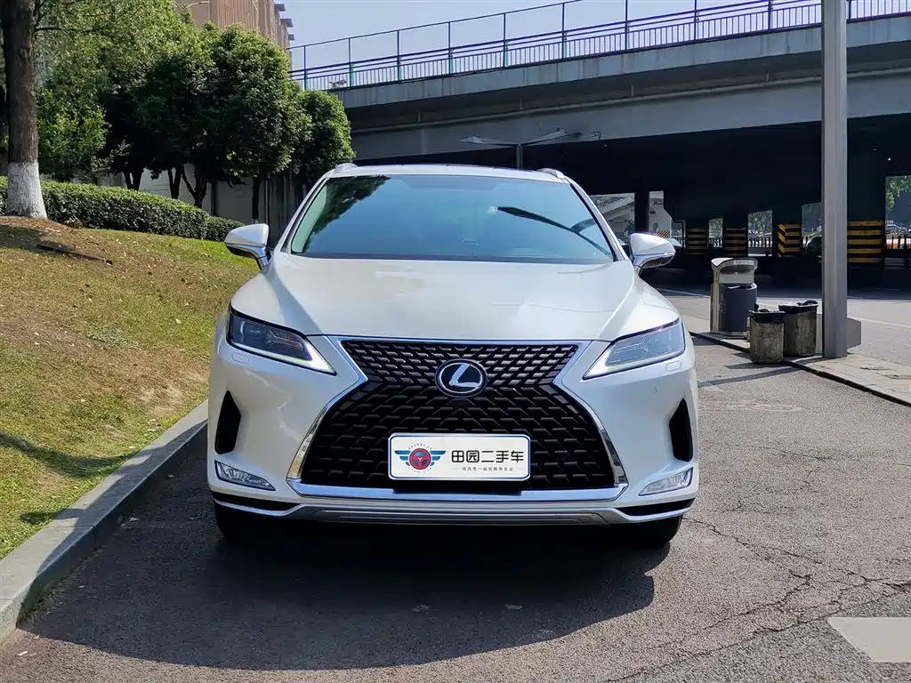 Lexus RX 2020 Facelift 300 2WD Elite Edition фото 2