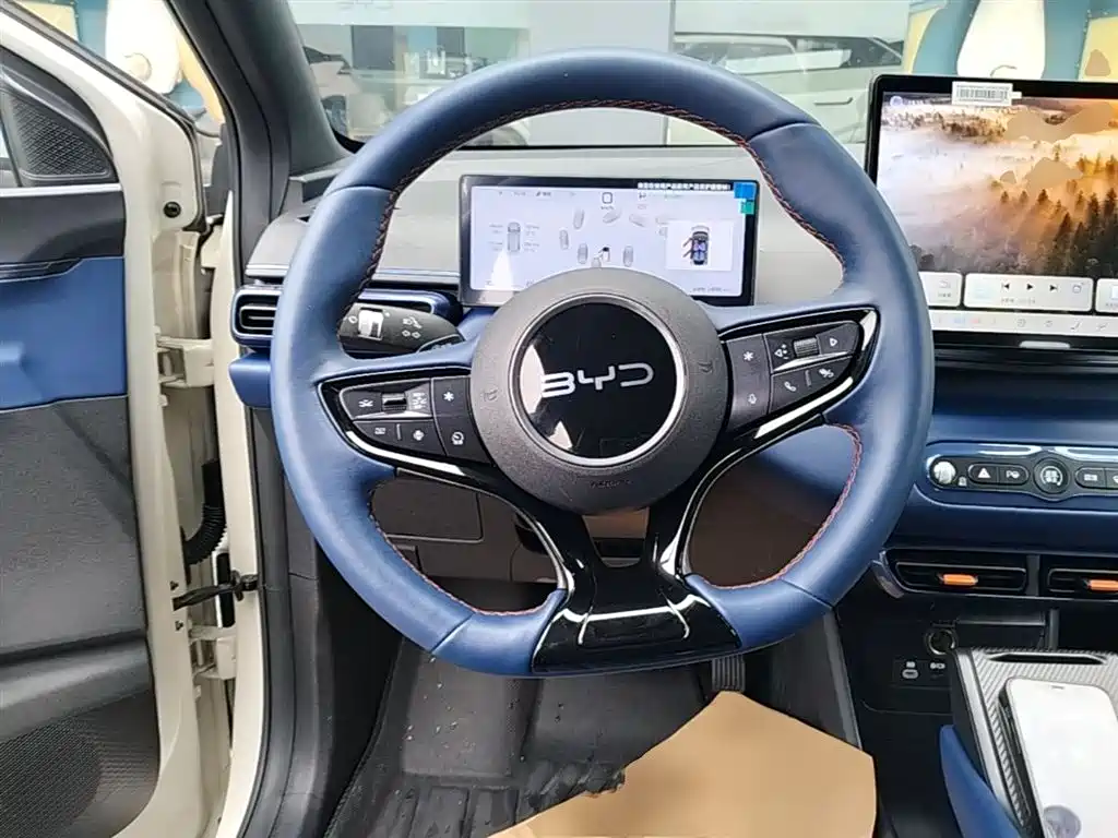 BYD Seagull 2025 Smart Drive Edition 305km Freedom Version фото 11