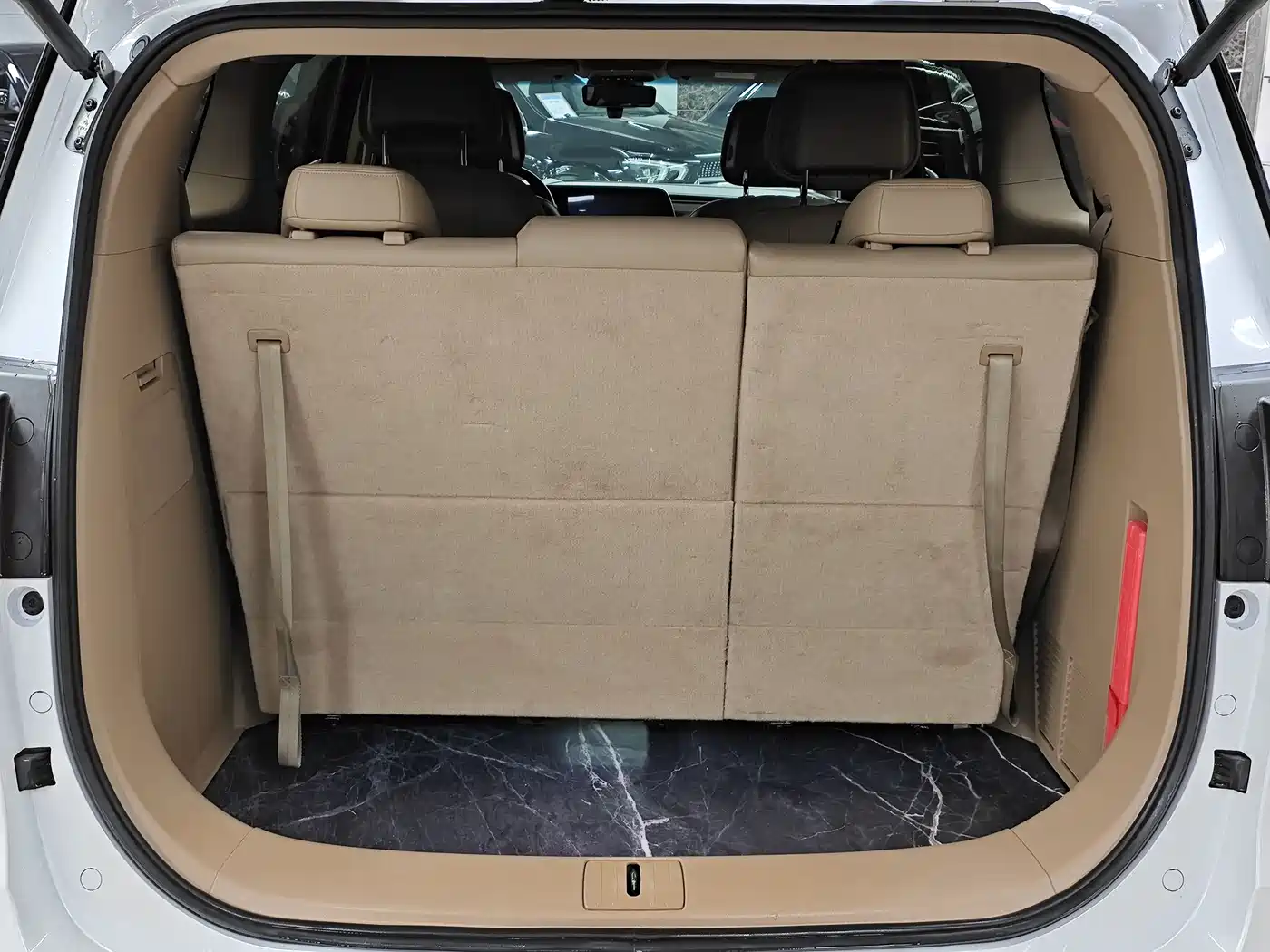 Buick GL8 2021 ES Landlord 653T Premium фото 8