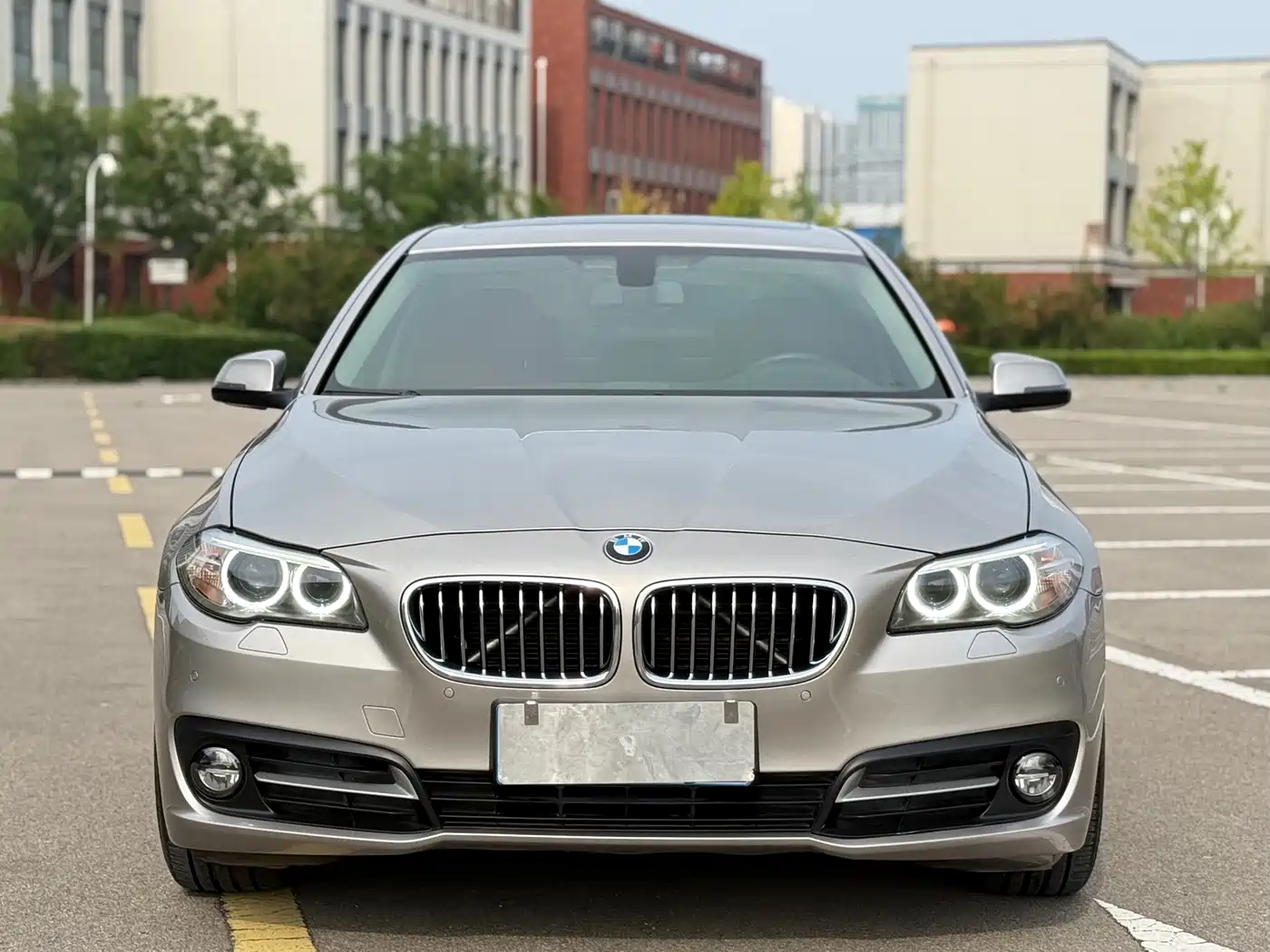 BMW 5 Series 2017 525Li Luxury Design Package фото 2