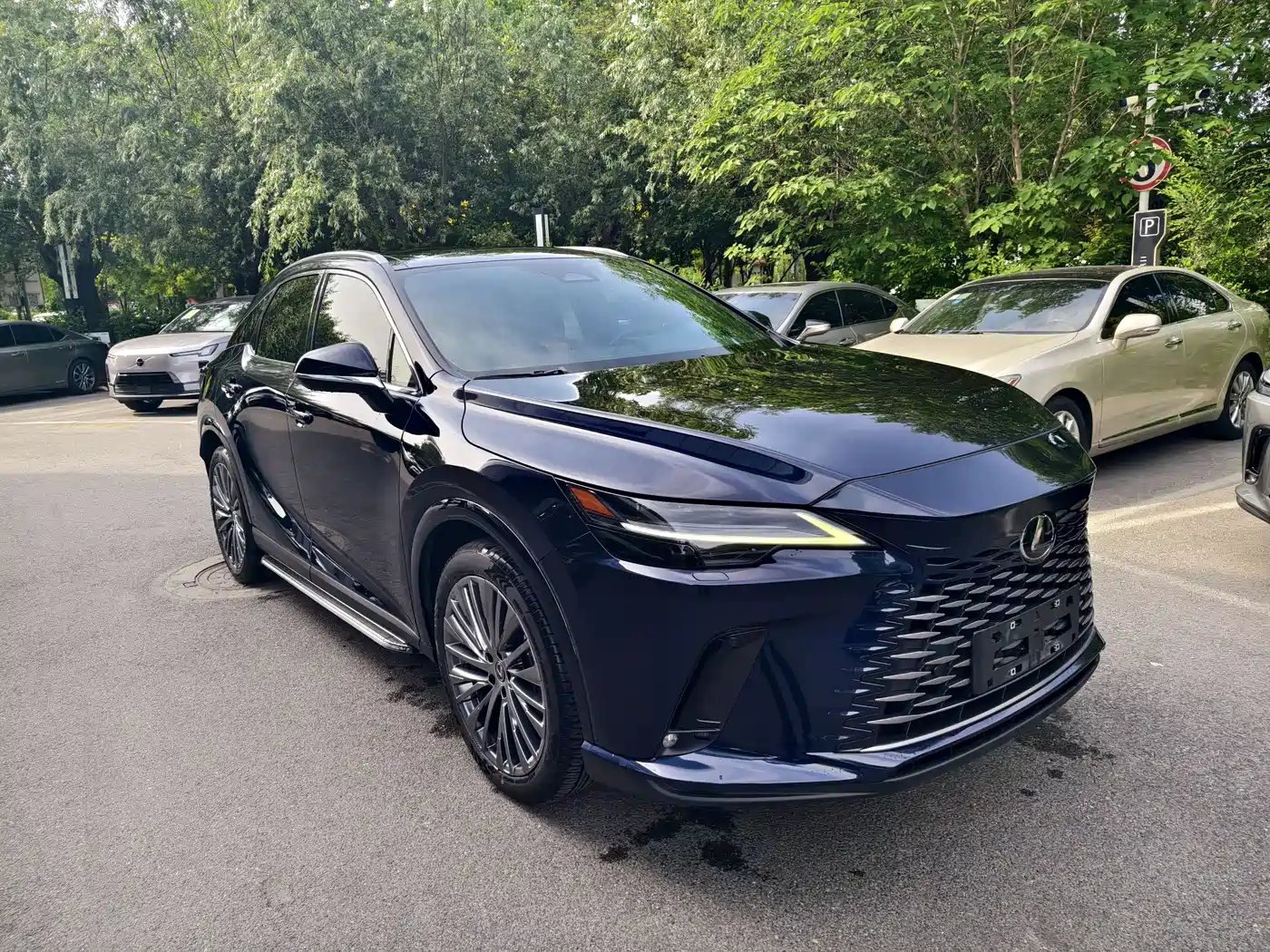 Lexus RX 2023 350h 4WD Pure Edition