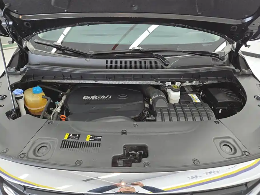 GAC Trumpchi Trumpchi M8 2023 Leading Series 390T Premium Edition фото 10