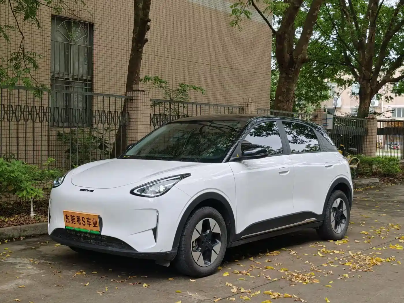 Geely Galaxy Starry Wish 2026 Model 310km Dream Edition