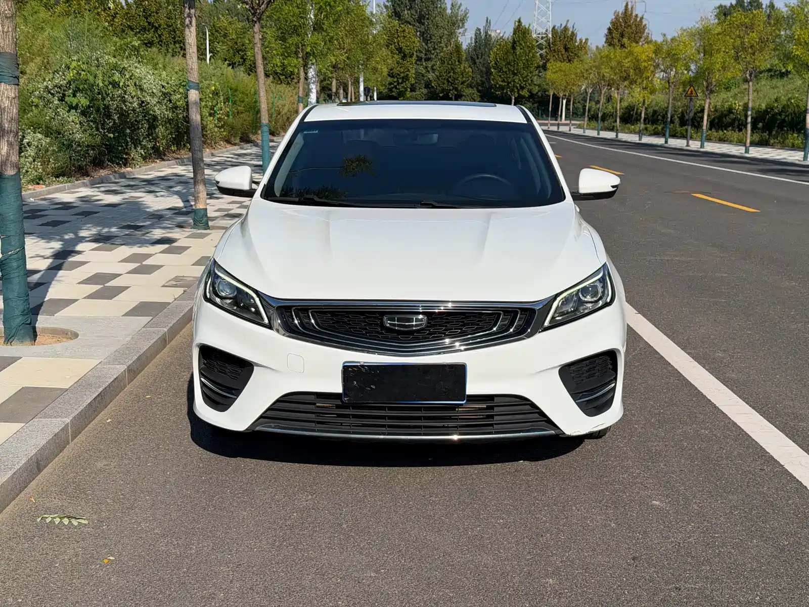 Фото 2 - Geely Binrui