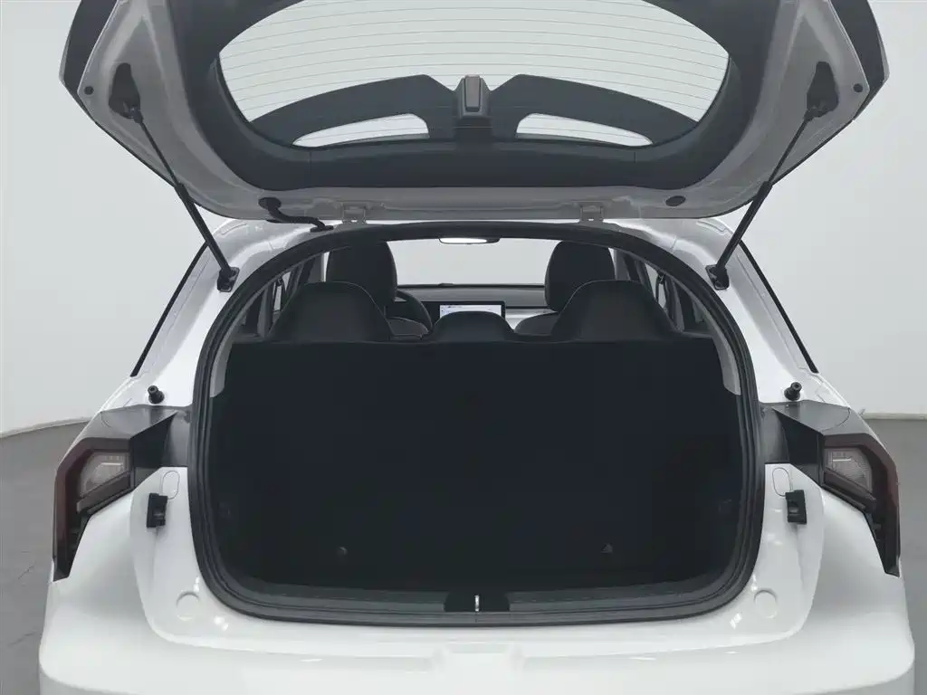 GEELY GEOMETRY E FIREFLY