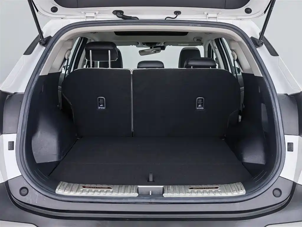KIA LION PLATINUM EXPANDS THE WORLD
