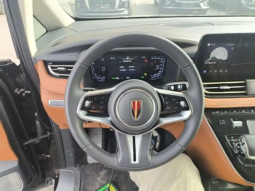 Hongqi HQ9 PHEV 2024 Model 2.0T AWD Business Edition фото 11