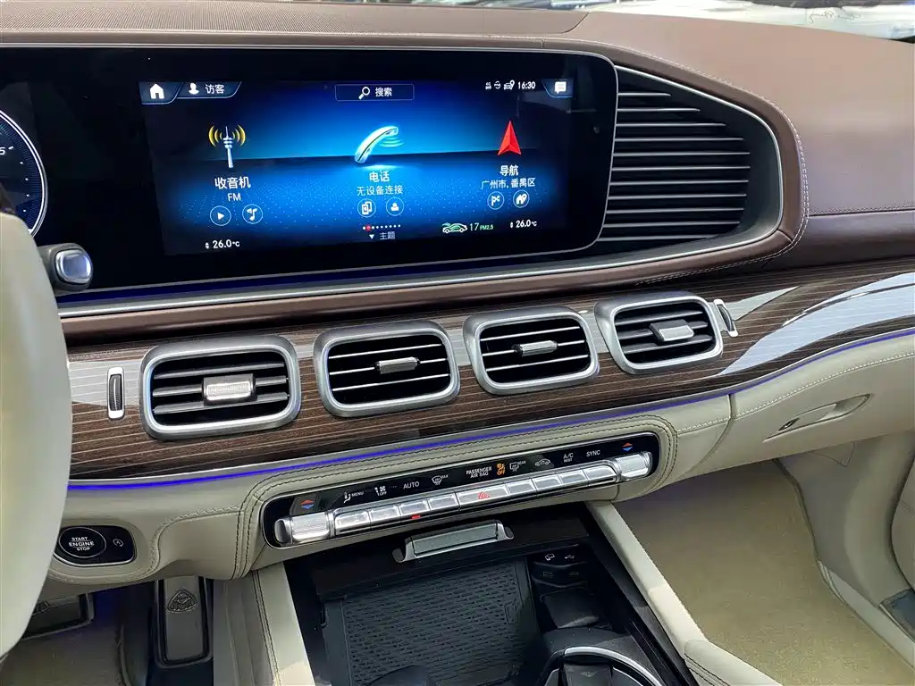 Mercedes-Benz Maybach GLS 2021 GLS 480 4MATIC фото 9