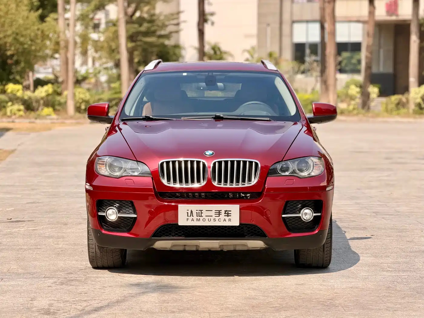 BMW X6 2012 xDrive35i фото 2