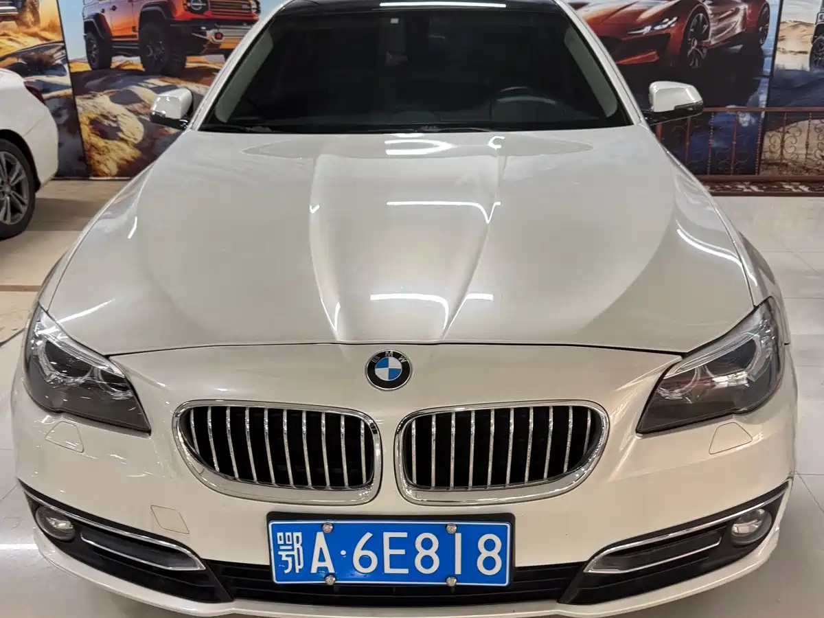 BMW 5 Series 2014 525Li Luxury Design Package фото 2