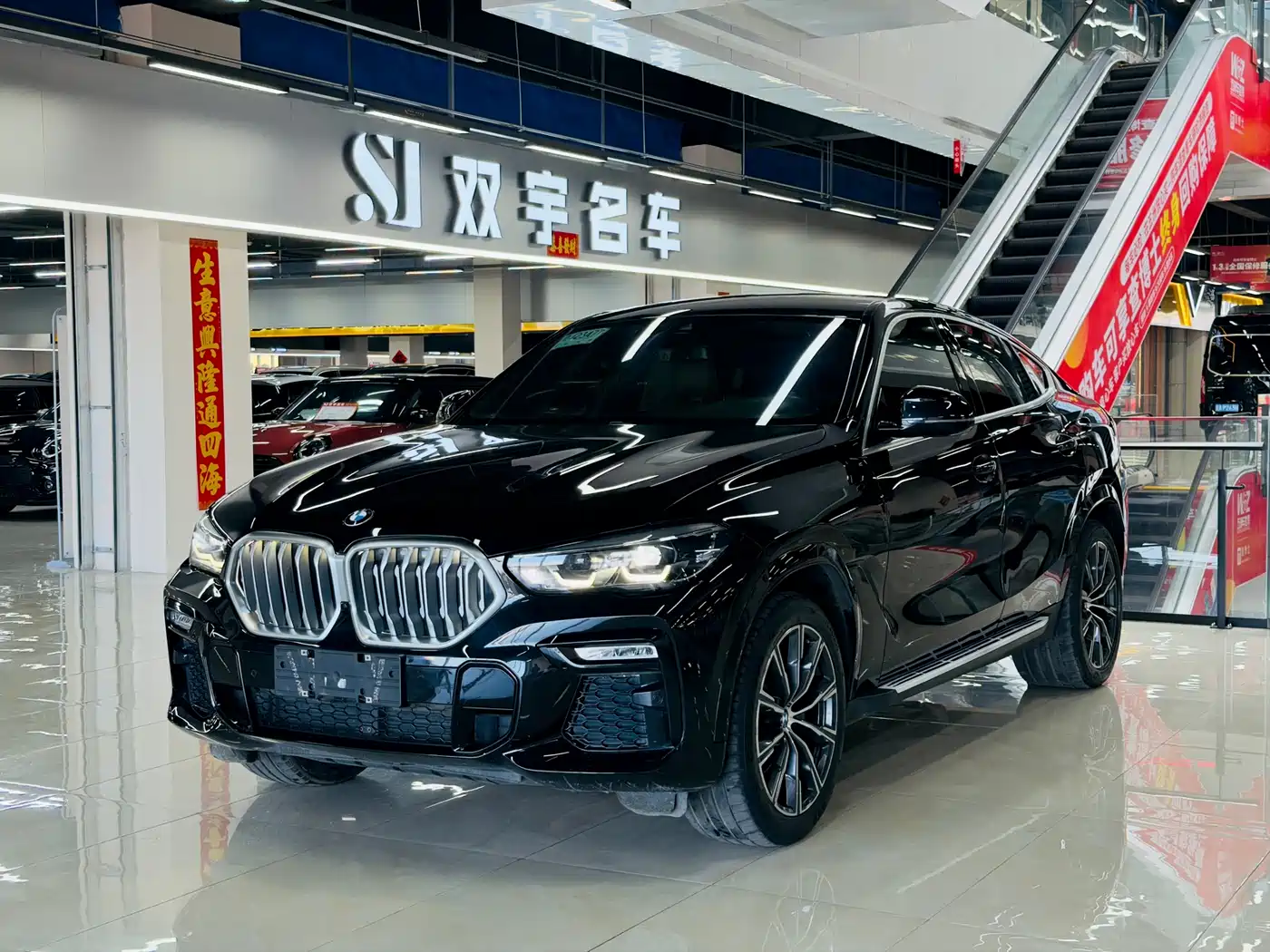 BMW X6