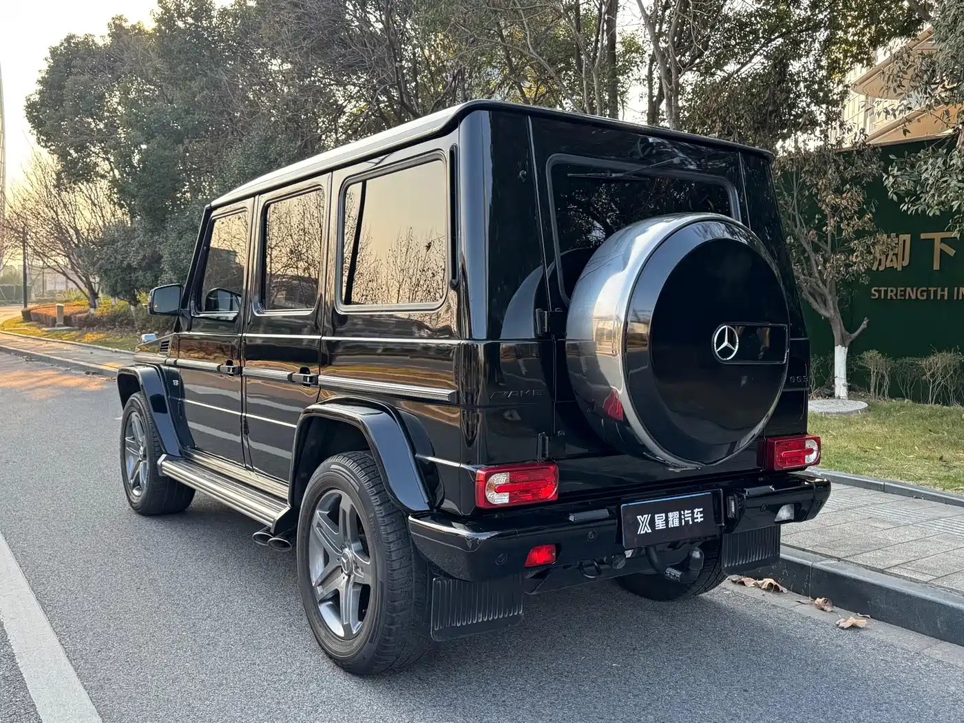 Mercedes-Benz G-Class 2017 G 500 фото 5