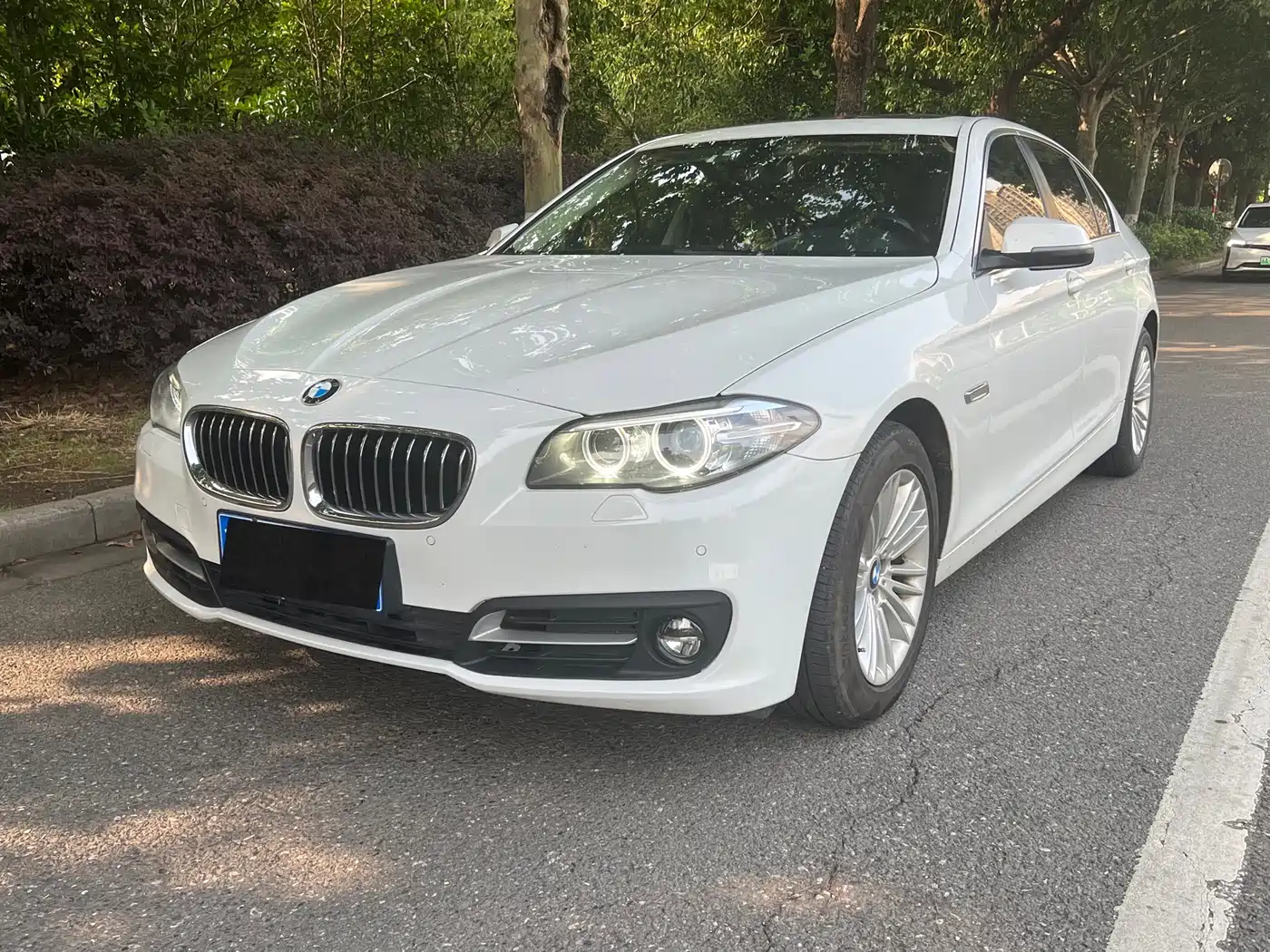 BMW 5 Series 2014 525Li Leading