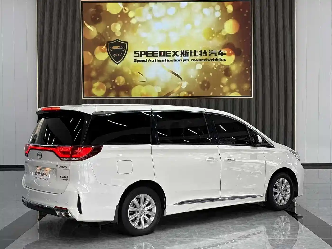 GAC Trumpchi Trumpchi M8 2020 Pilot 390T Luxury Edition фото 12