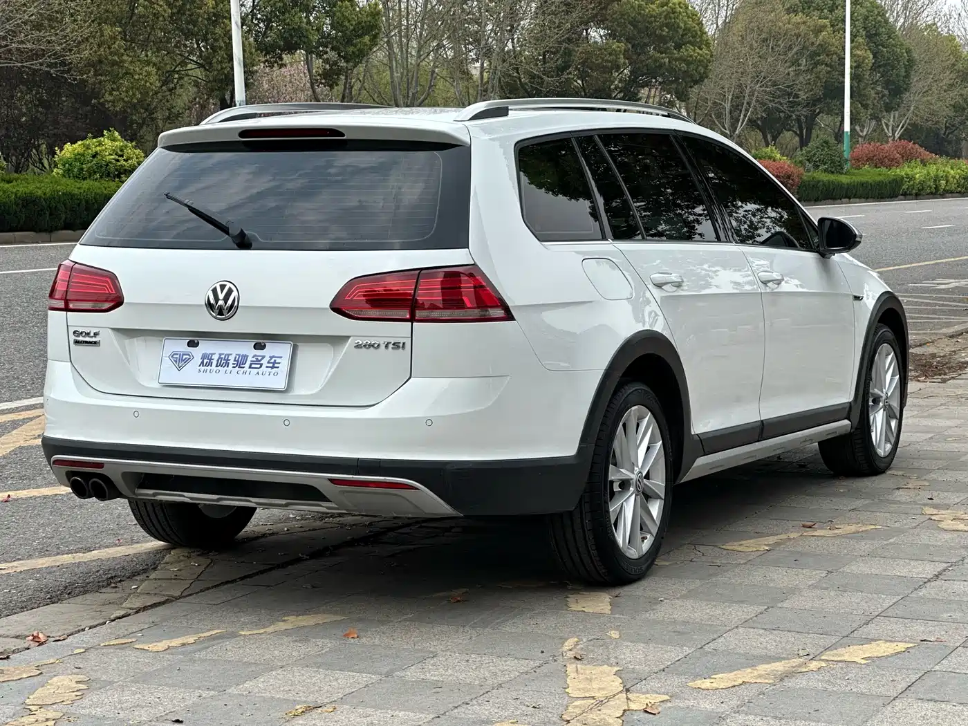 Volkswagen Golf (Import) 2019 1.8TSI Wagon фото 4